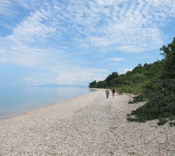 Gombe Stream National Park, Lake Tanganyika, Tanzania