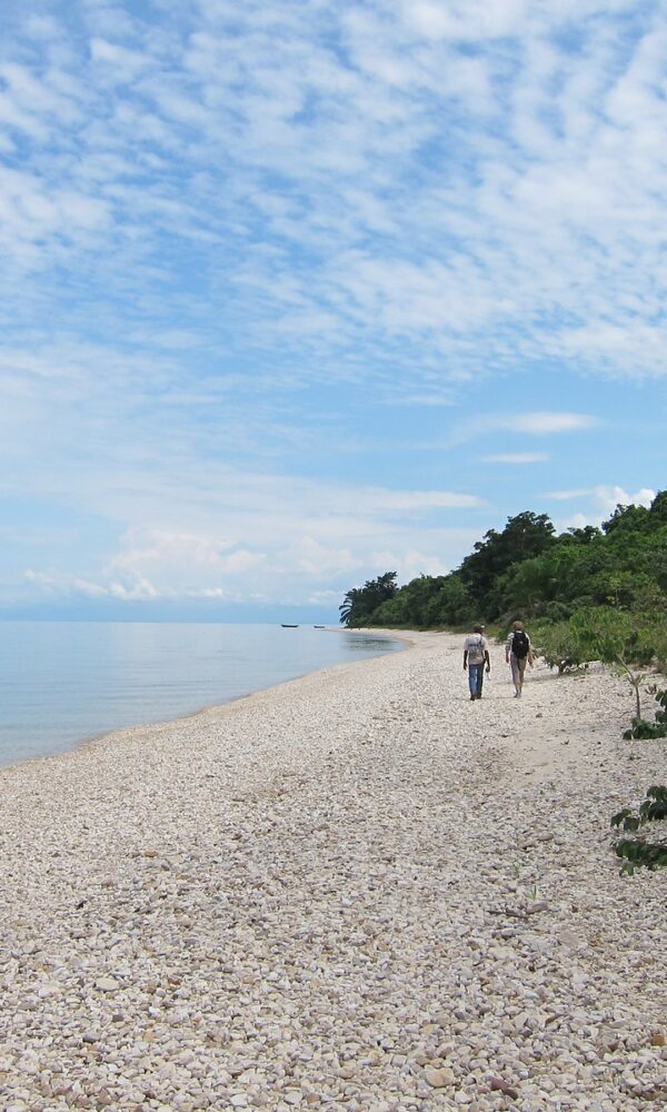 Gombe Stream National Park, Lake Tanganyika, Tanzania