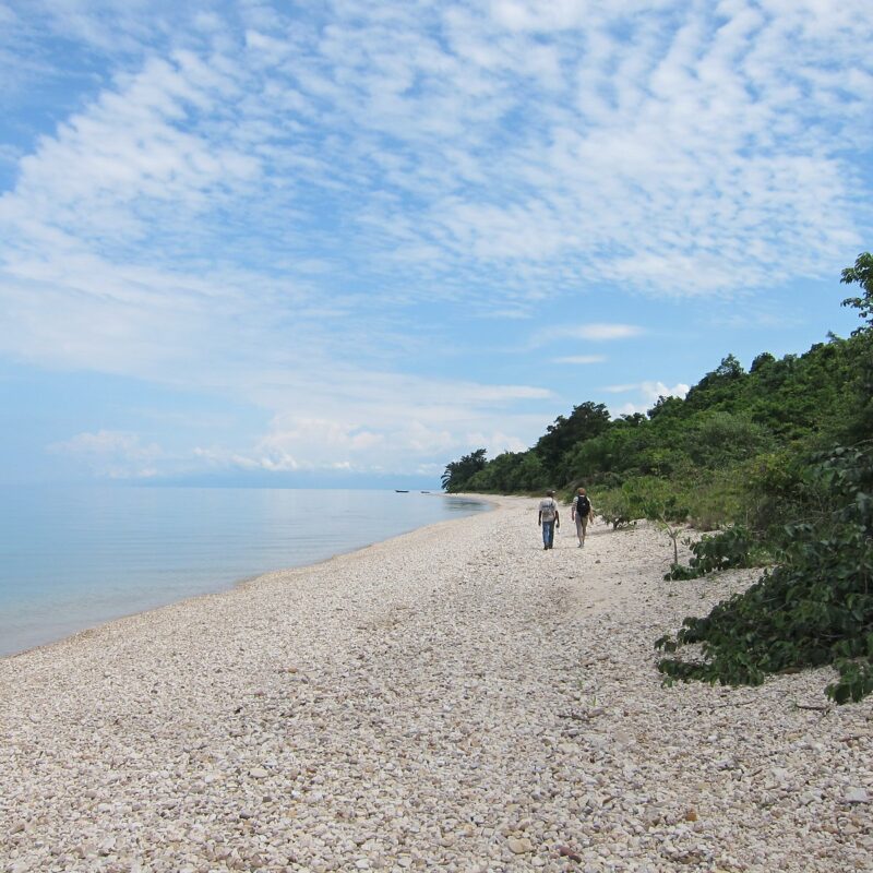 Gombe Stream National Park, Lake Tanganyika, Tanzania Gombe Stream National Park, Lake Tanganyika, Tanzania