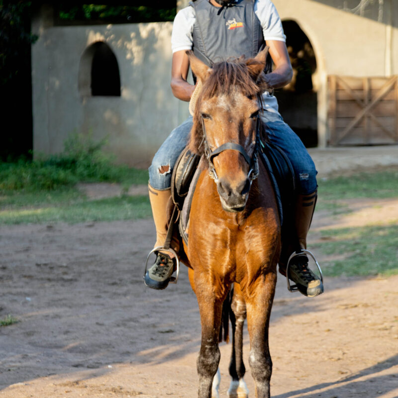 ALL IN AFRICA SAFARIS_84 (3)