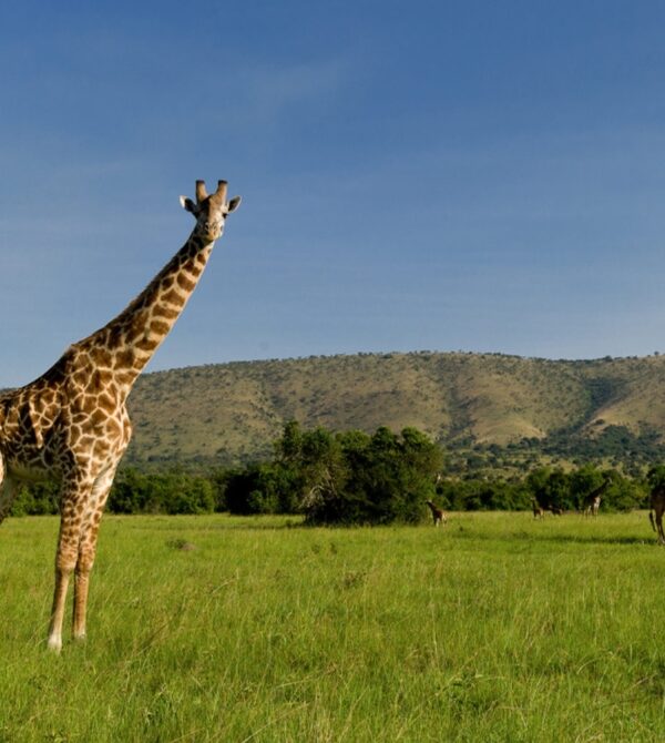 Akagera National Park Rwanda