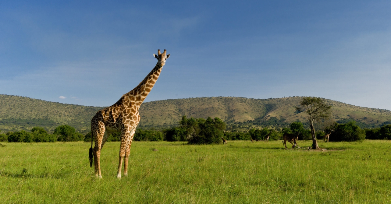 Akagera National Park Rwanda
