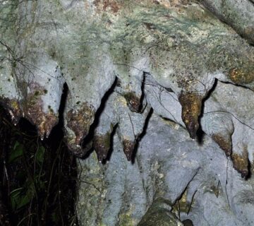 Amabere Caves Fort Portal