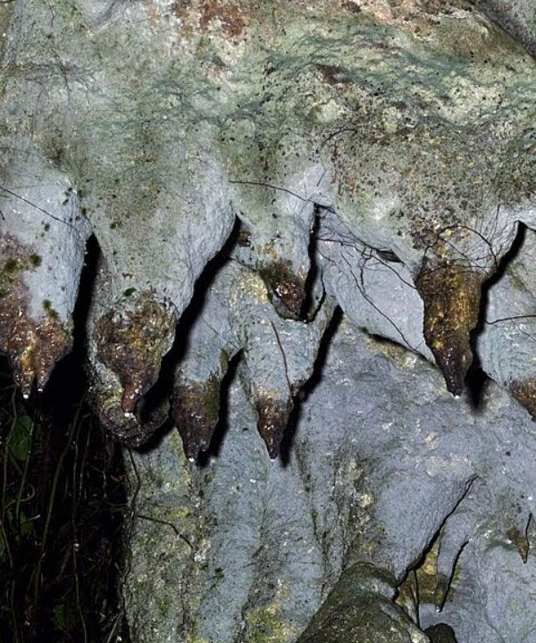 Amabere Caves Fort Portal