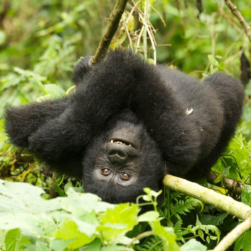 BITUKURA FAMILY – RUHIJA SECTOR6