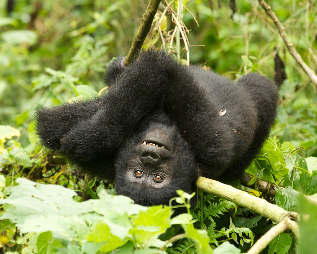 BITUKURA FAMILY – RUHIJA SECTOR6