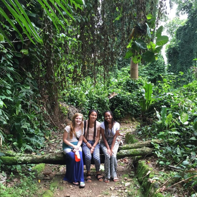 Entebbe Botanical Garden Entebbe Botanical Garden