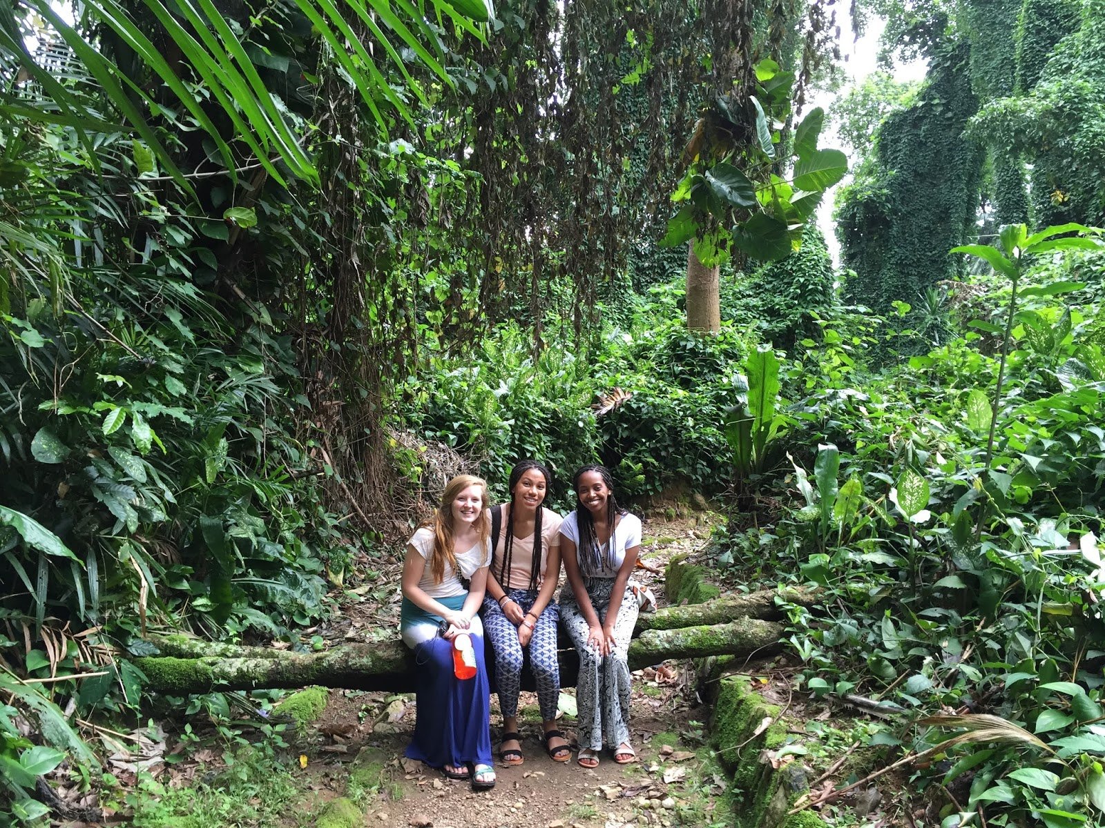 Entebbe Botanical Garden