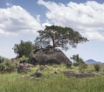 Kidepo Valley National Park