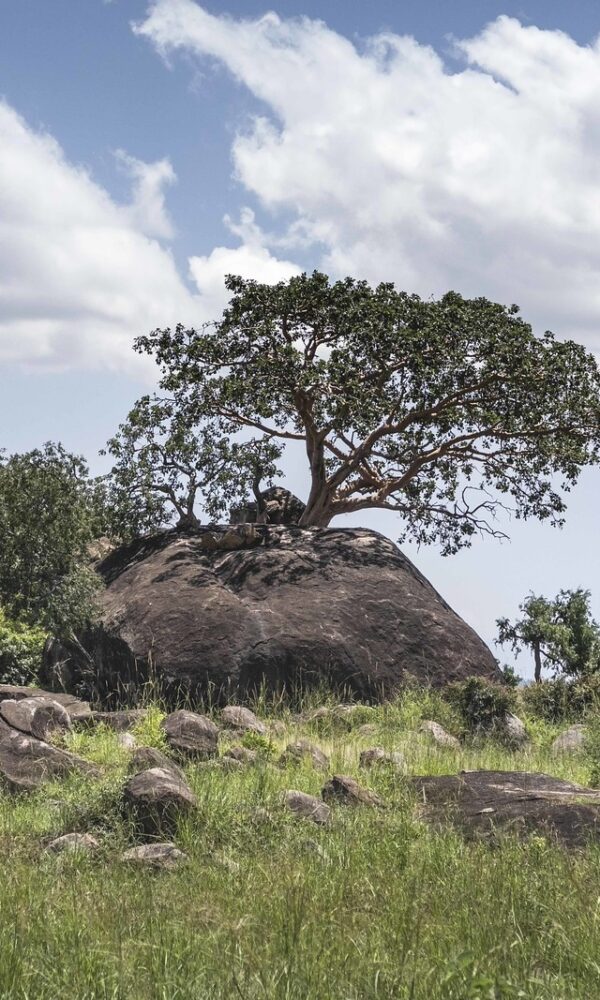 Kidepo Valley National Park