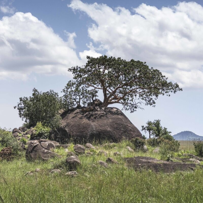 Kidepo Valley National Park