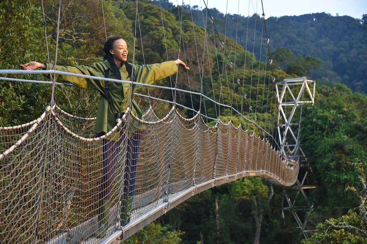 Nyungwe Canopy Walkway Rwanda