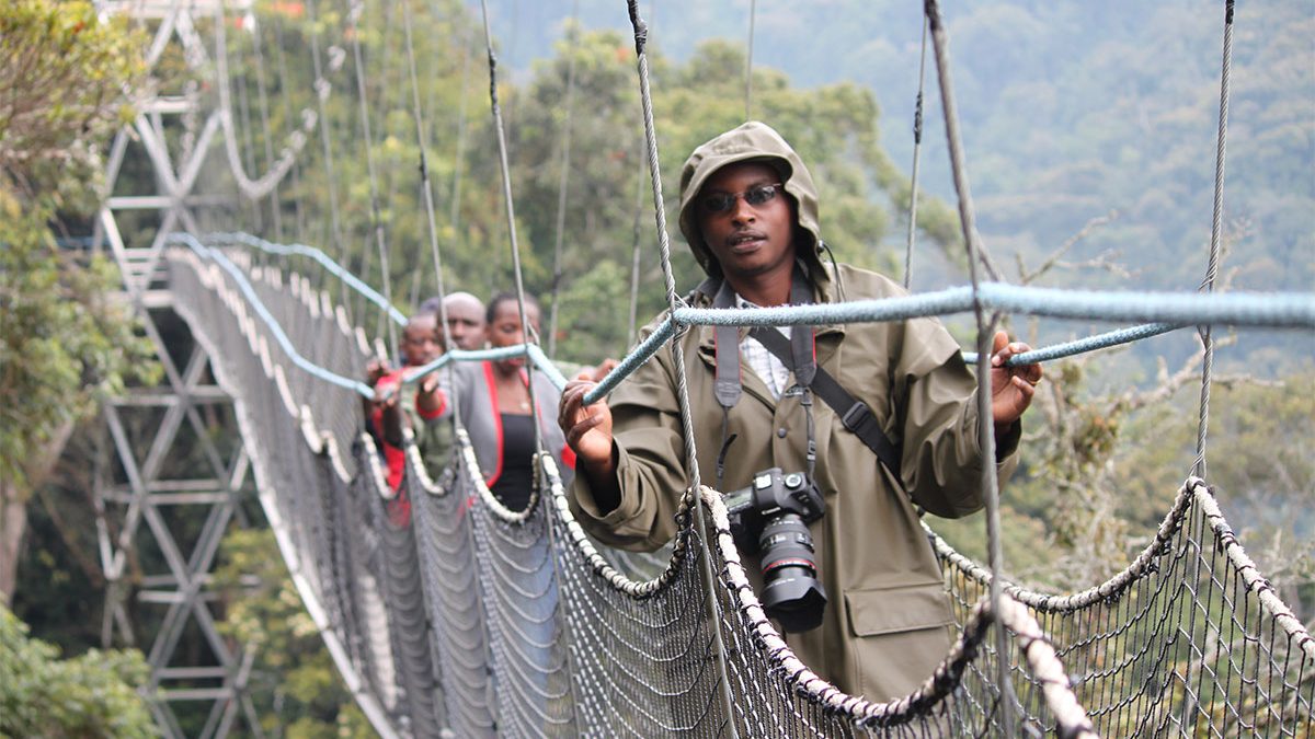 Nyungwe Canopy Walkway Rwanda