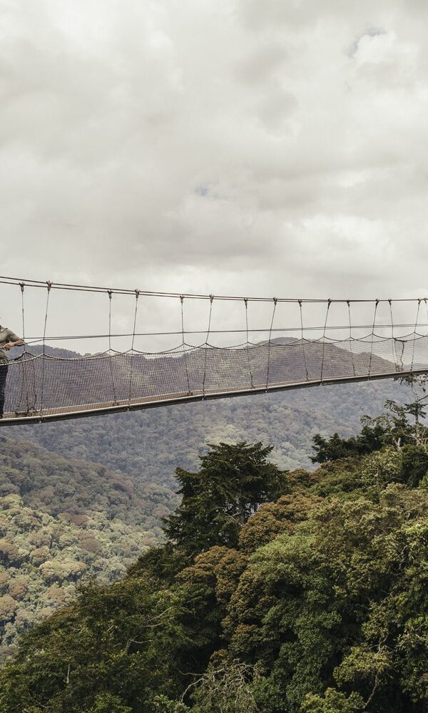 Nyungwe Canopy Walkway Rwanda