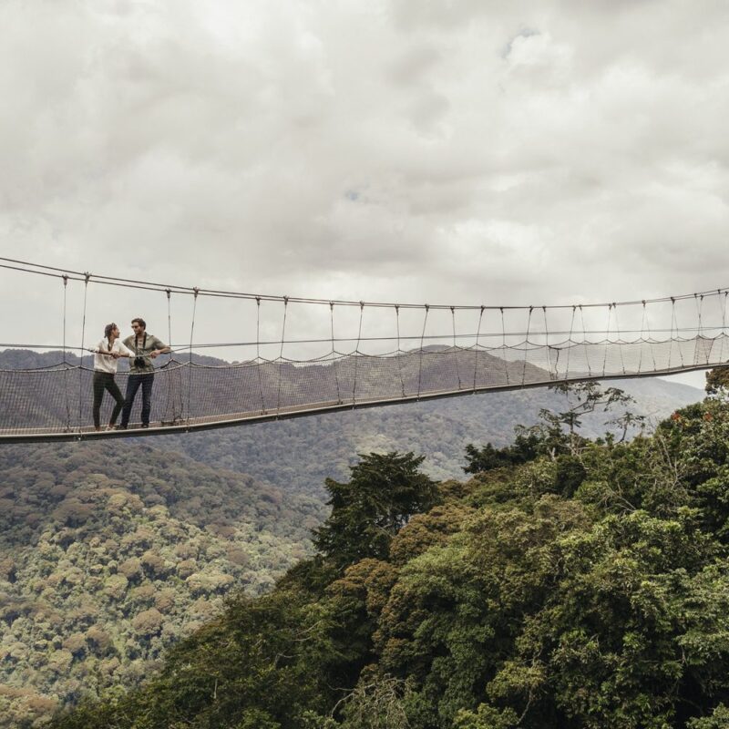 Nyungwe Canopy Walkway Rwanda