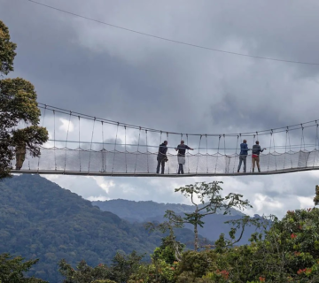 Nyungwe Forest National Park