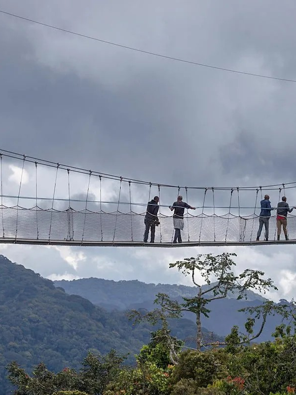 Nyungwe Forest National Park