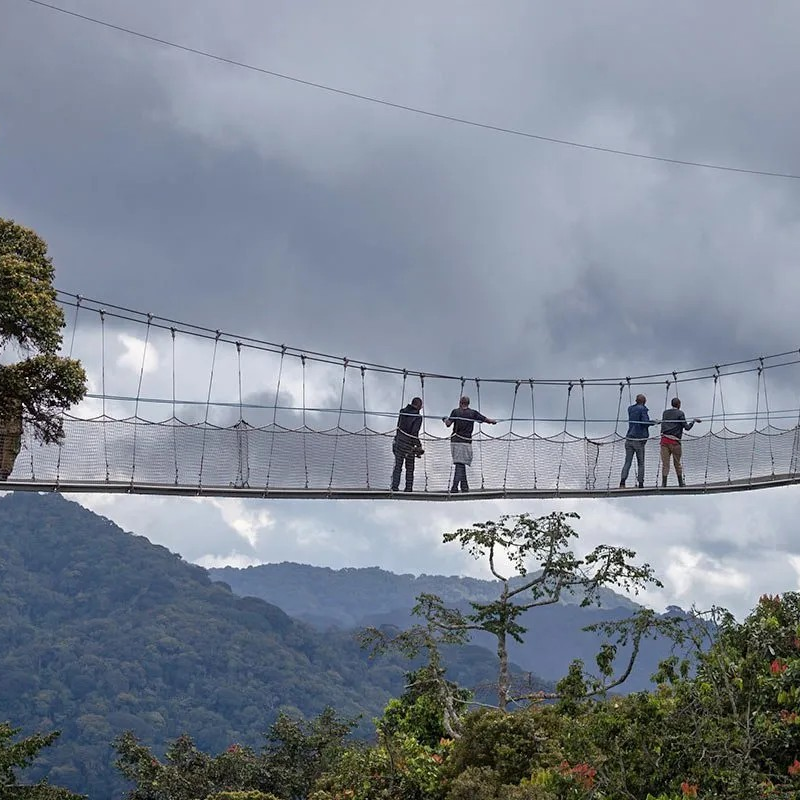 Nyungwe Forest National Park