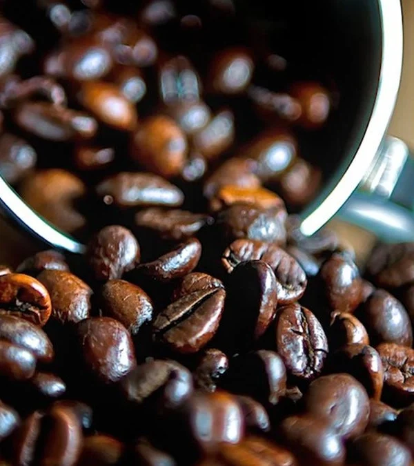 Rwanda Coffee Tourism