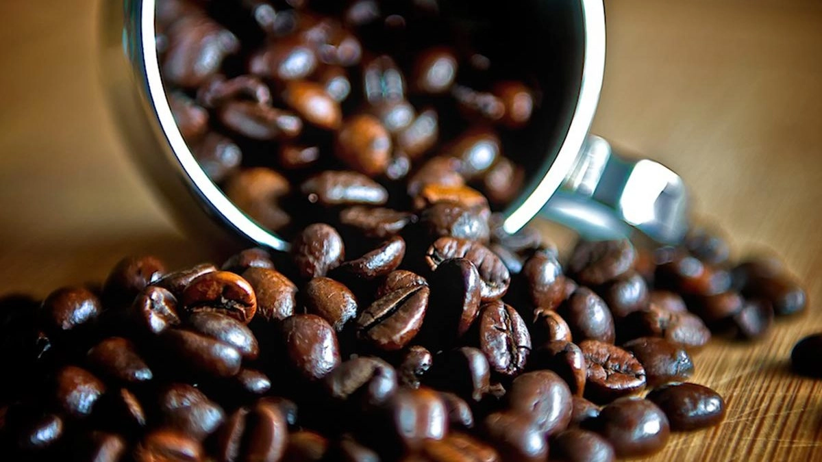 Rwanda Coffee Tourism