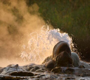 Semliki hot spring