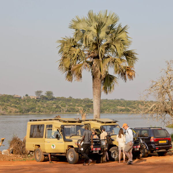 ALL IN AFRICA SAFARIS_6 (2) ALL IN AFRICA SAFARIS 6 (2)