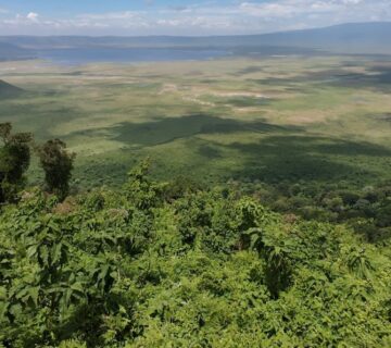 Ngorongoro Crater Complete Inside Guide