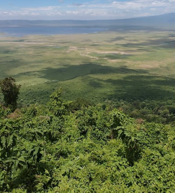 Ngorongoro Crater Complete Inside Guide