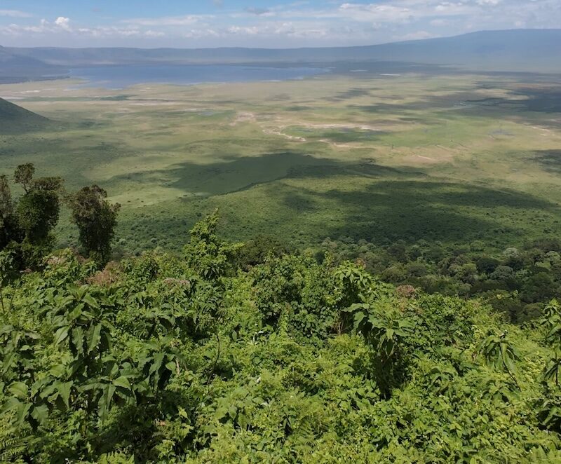 Ngorongoro Crater Complete Inside Guide