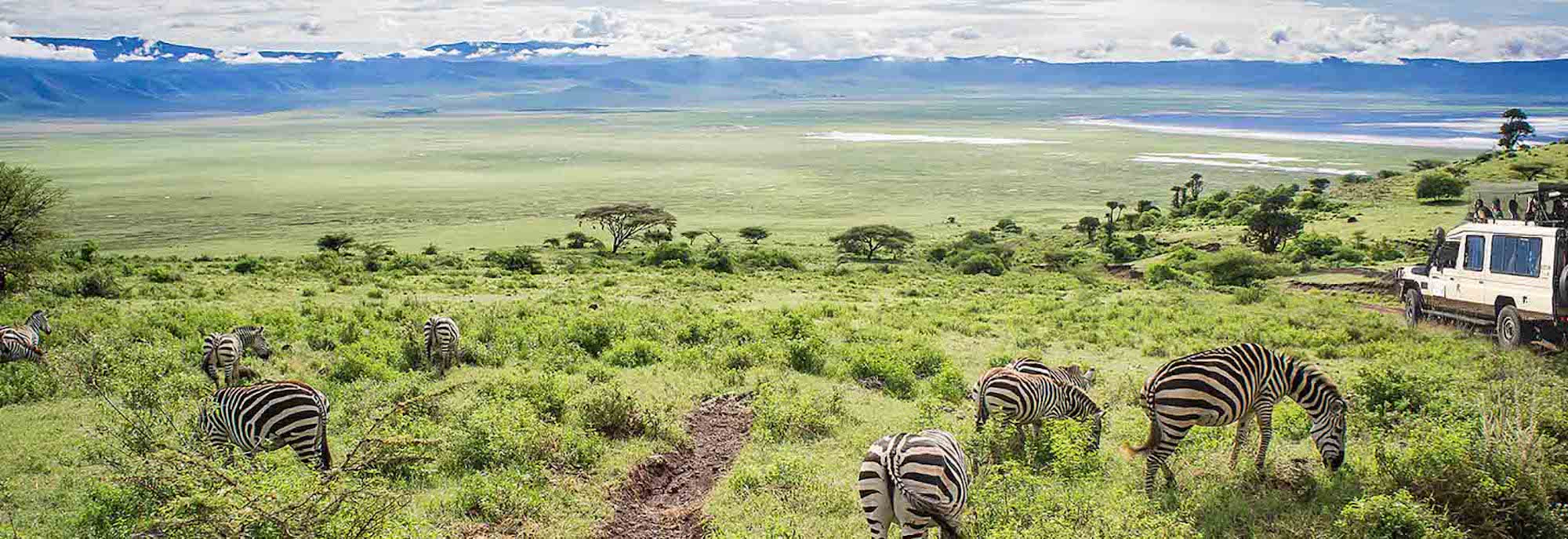 Ngorongoro Crater Complete Inside Guide