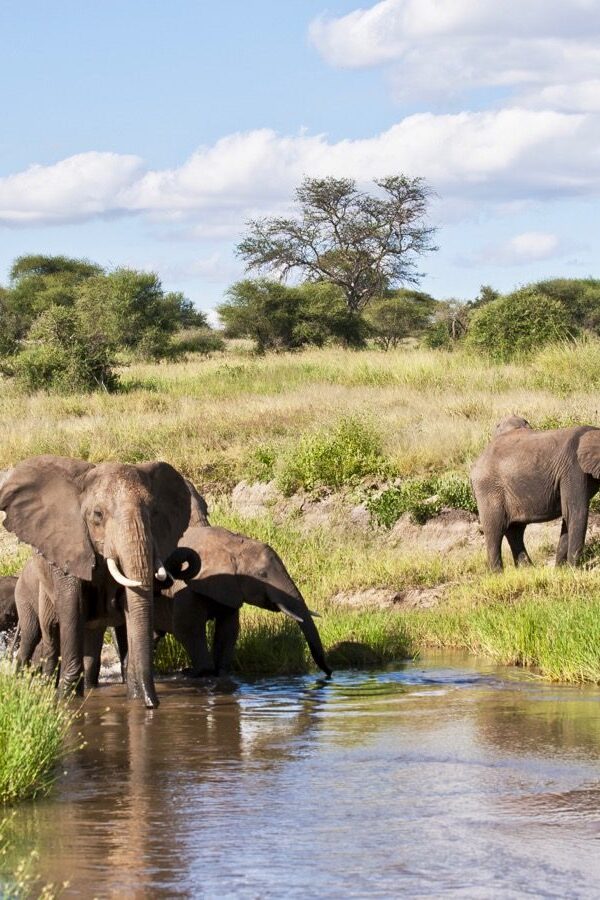 Tarangire National Park