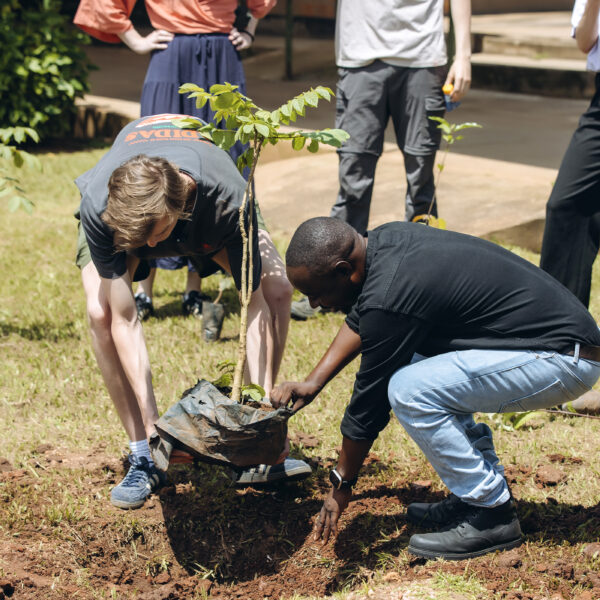 GREENSPOT TREE PLANTING CAMPAIGN