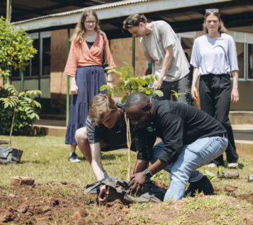 How One Tree Changes an Entire Ecosystem