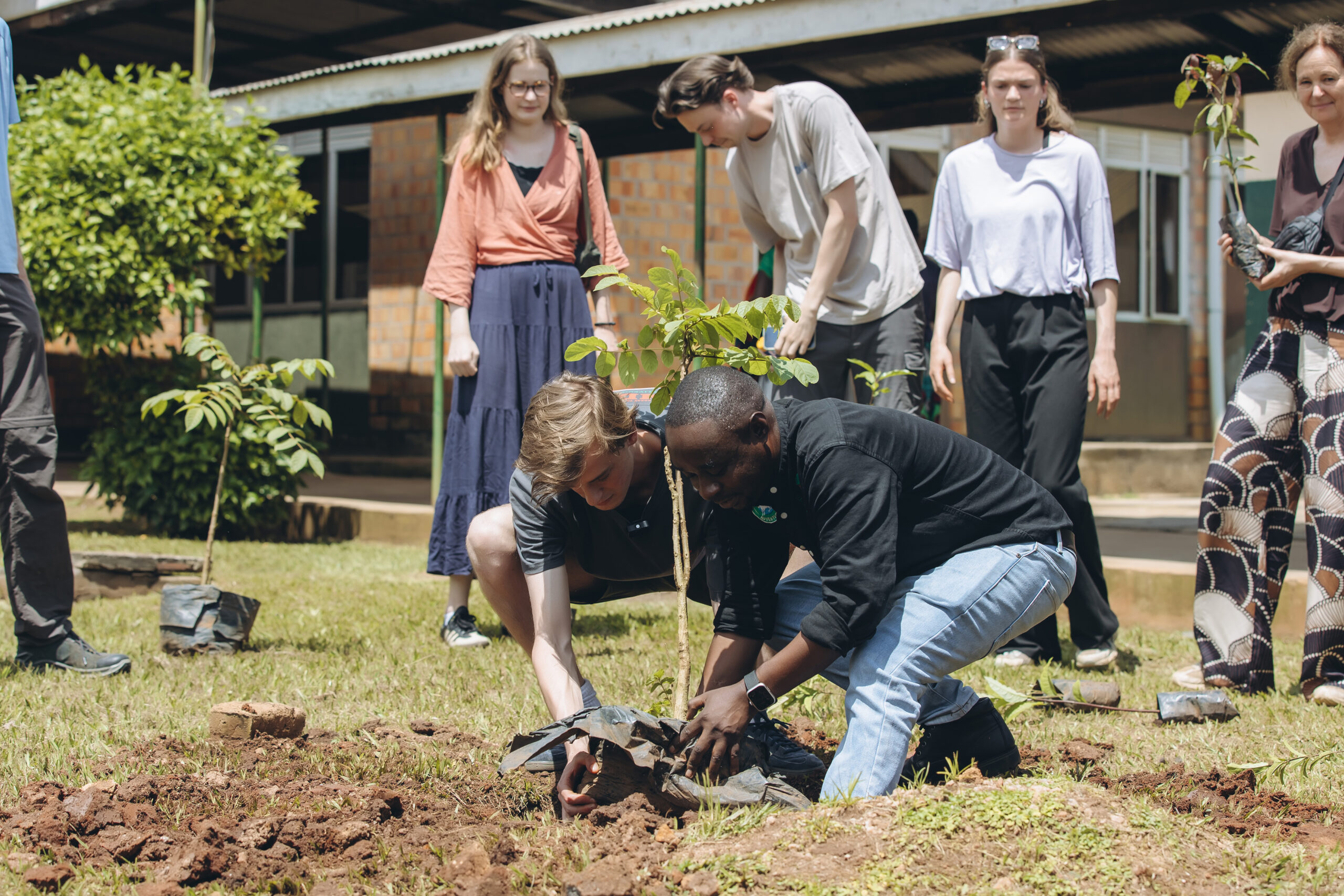How One Tree Changes an Entire Ecosystem
