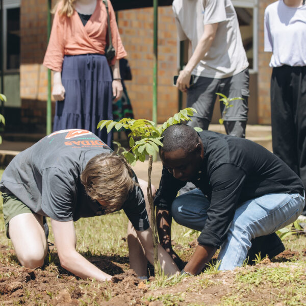 GREENSPOT TREE PLANTING CAMPAIGN