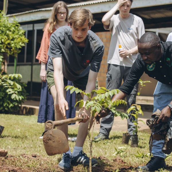 GREENSPOT TREE PLANTING CAMPAIGN