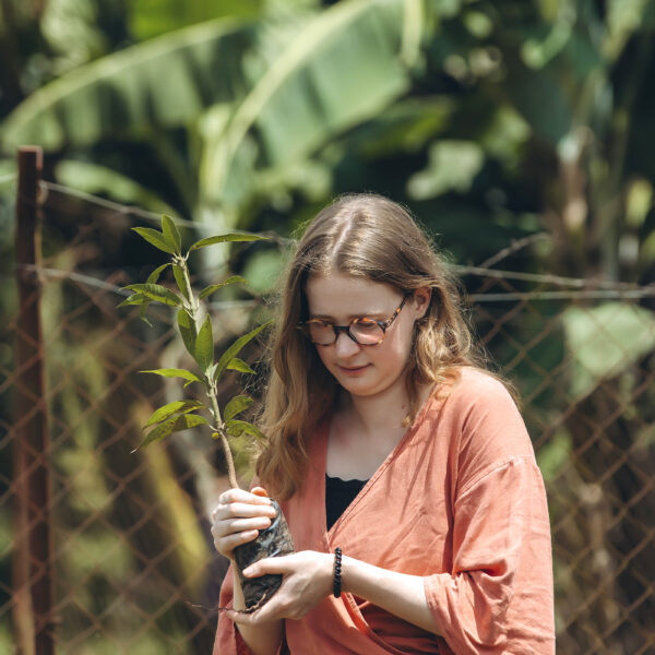 GREENSPOT TREE PLANTING CAMPAIGN