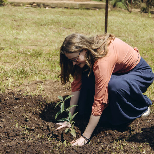 GREENSPOT TREE PLANTING CAMPAIGN