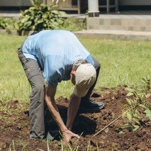 GREENSPOT TREE PLANTING CAMPAIGN