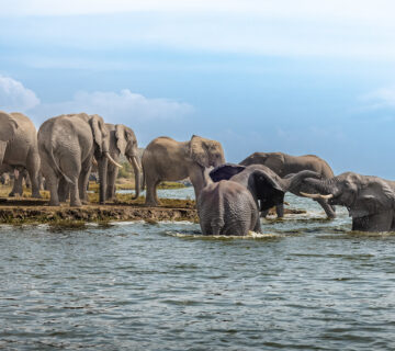 Queen Elizabeth National Park is a place of extraordinary geological diversity