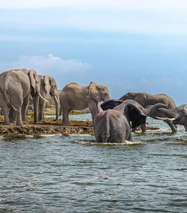 Queen Elizabeth National Park is a place of extraordinary geological diversity