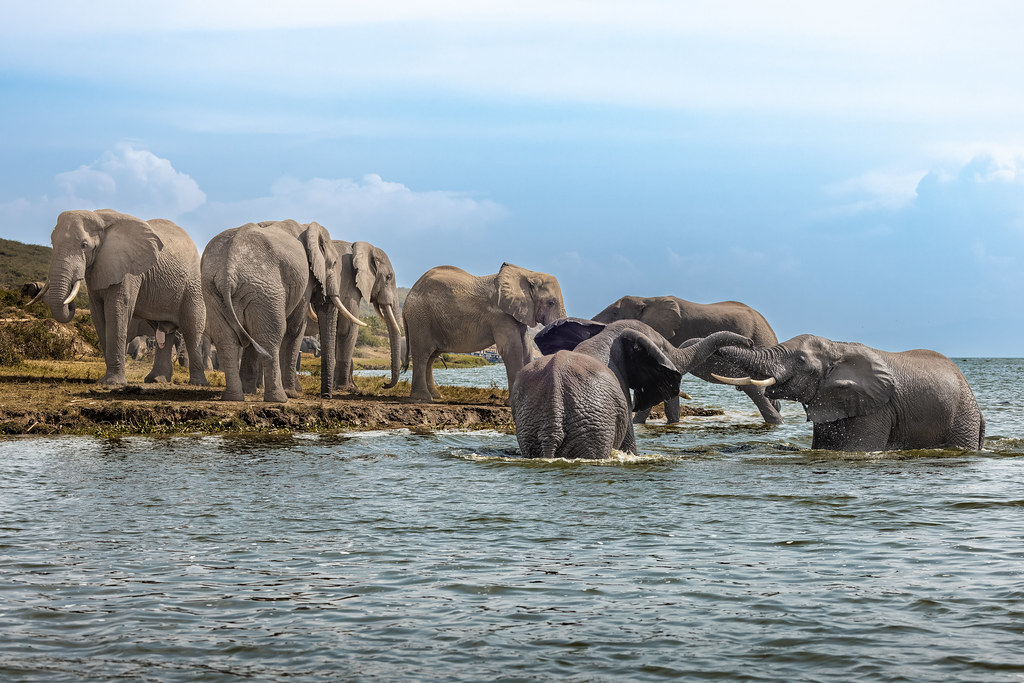 Queen Elizabeth National Park is a place of extraordinary geological diversity