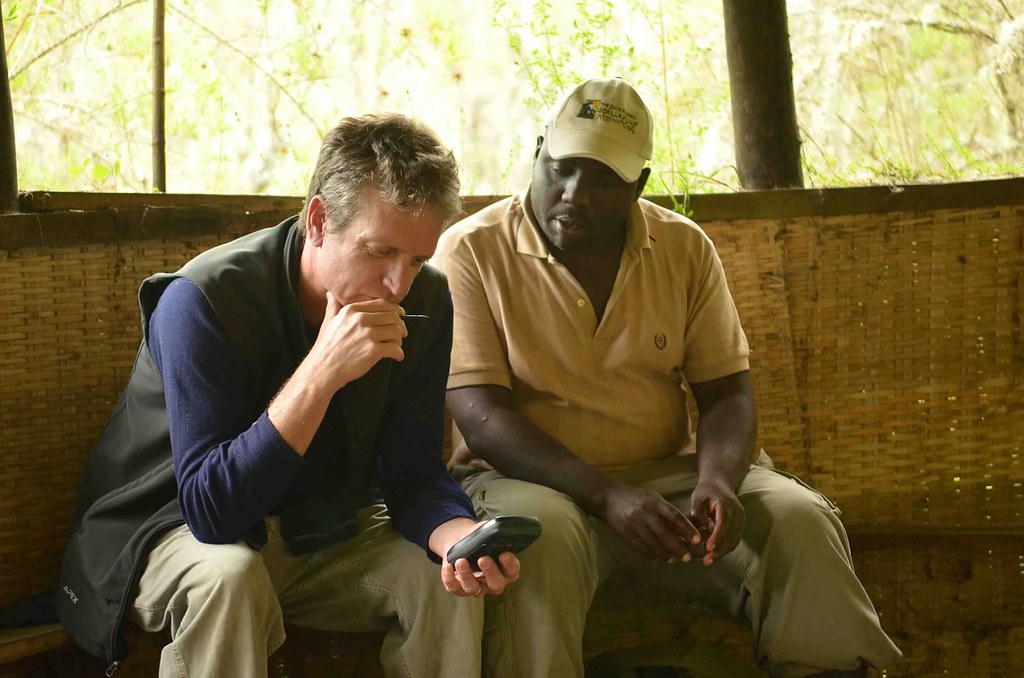How Rangers Track Gorilla Families Every Morning Before Tourists Arrive