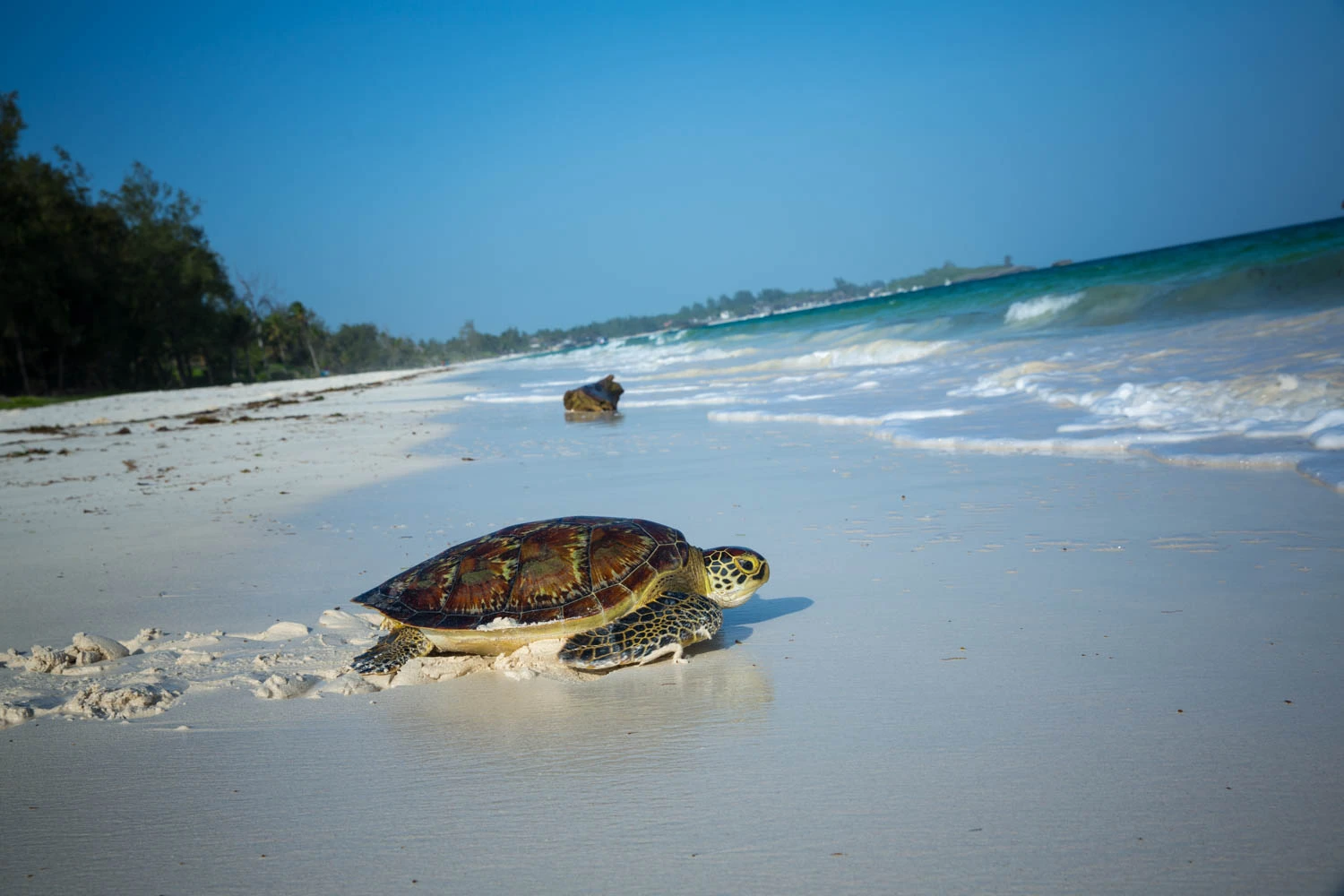 Watamu beaches bg1