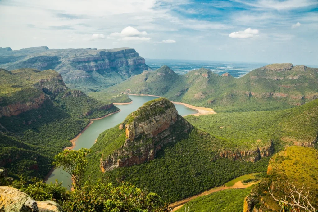 The Role of Trees in Keeping African Rivers Alive