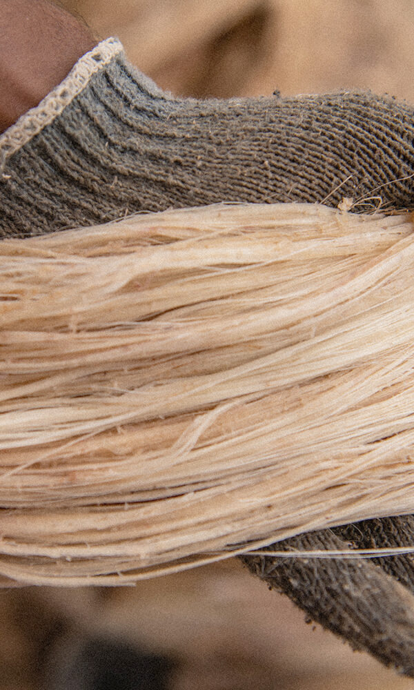 Banana Fibre 600x1000