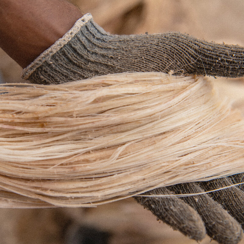 Banana Fibre