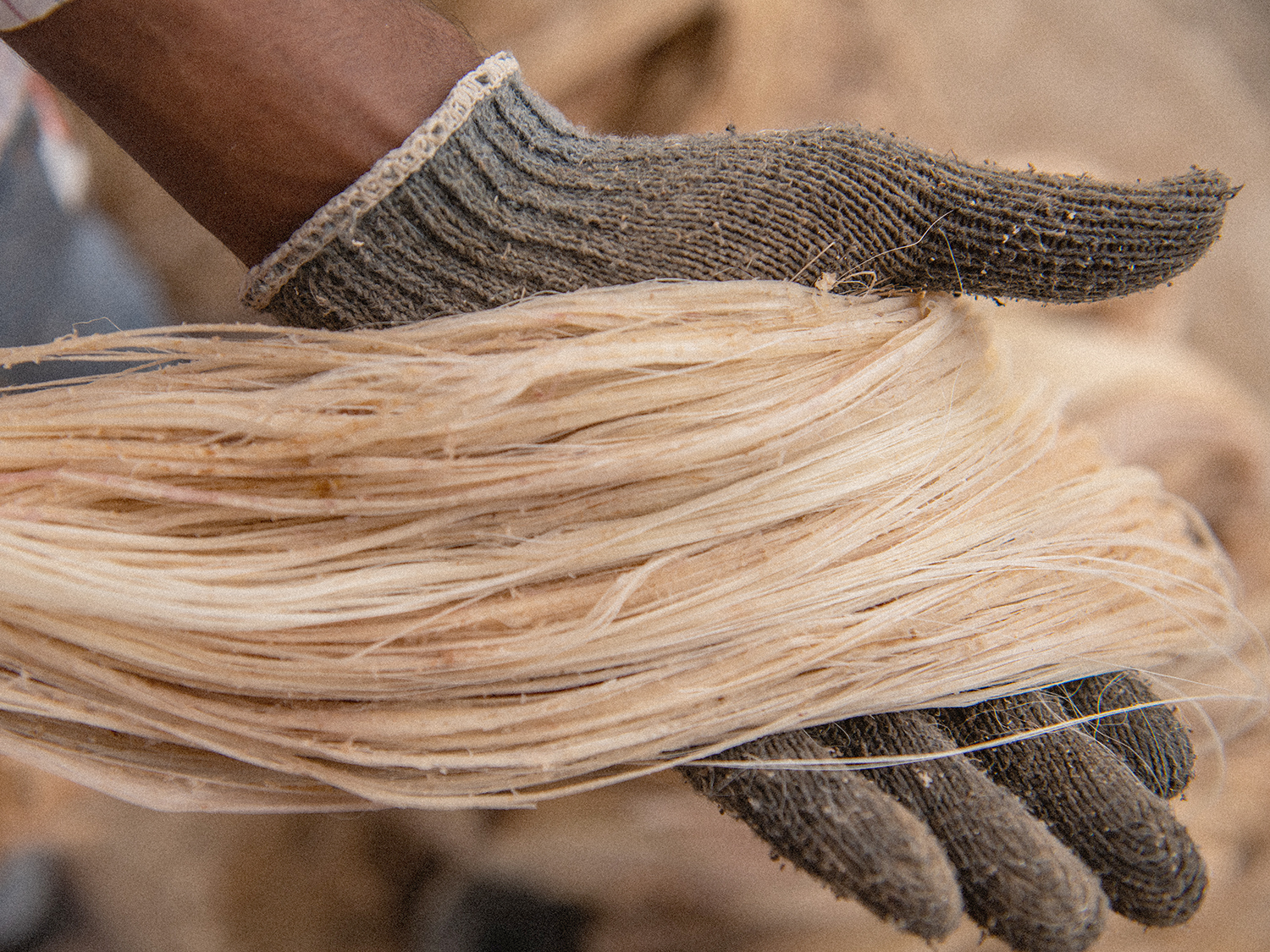 Banana Fibre