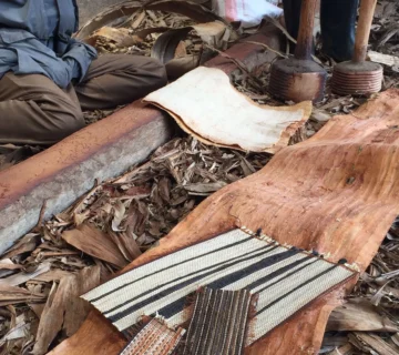 Bark Cloth Making in Uganda 360x320