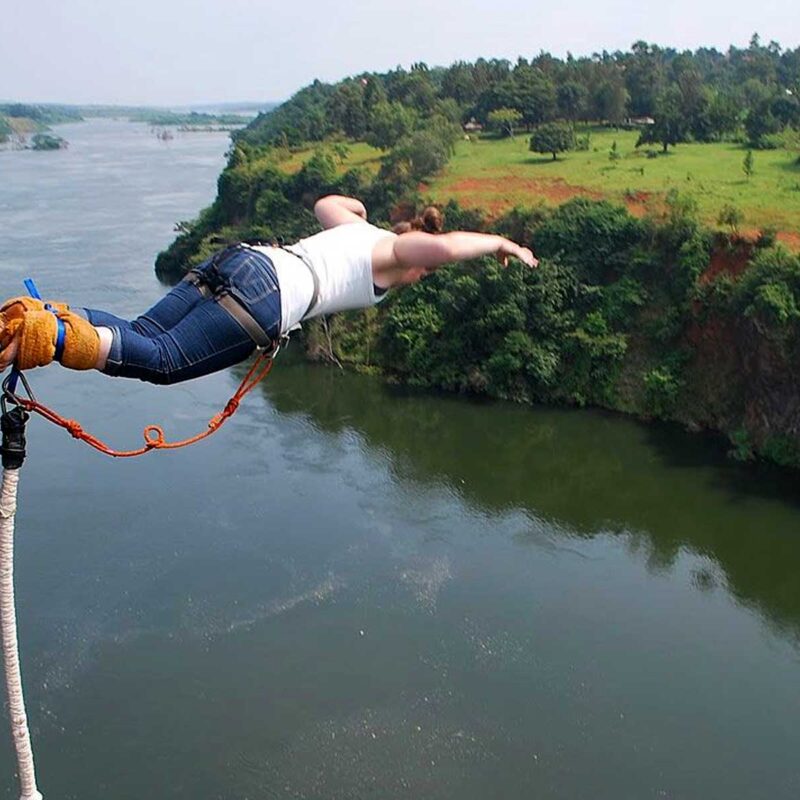 Bungee Jumping at the Source of the Nile